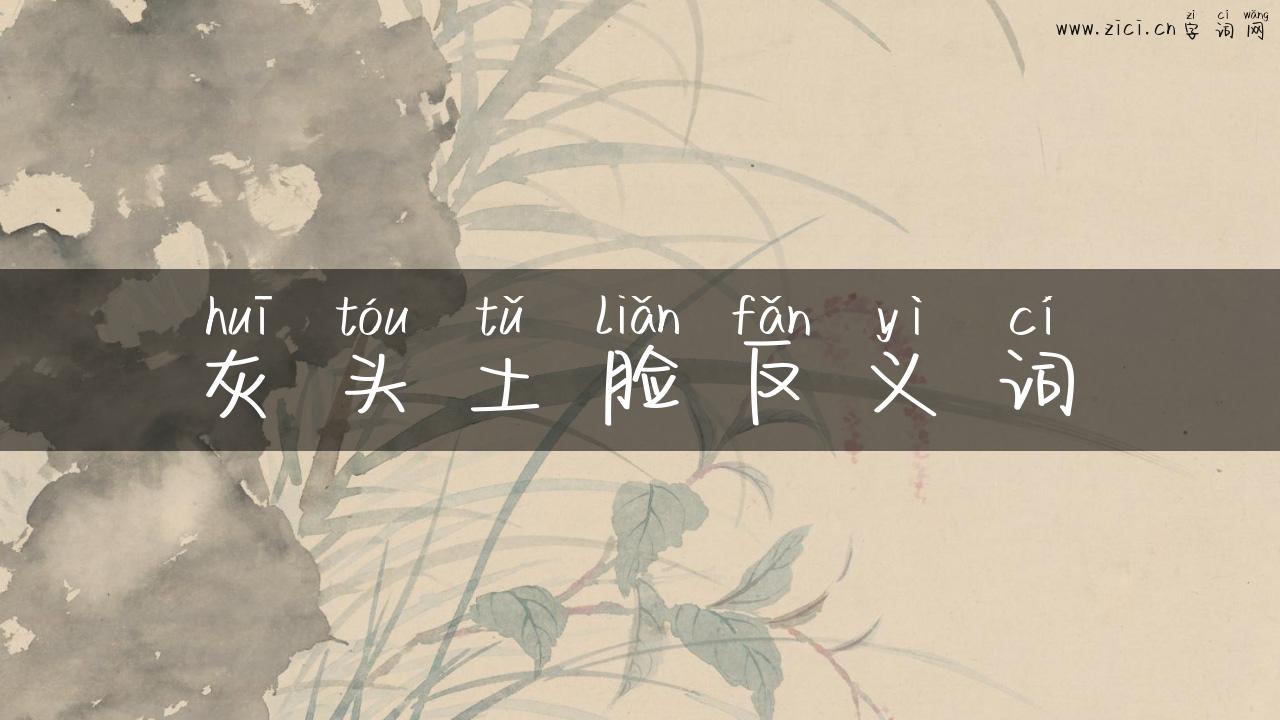 灰头土脸反义词