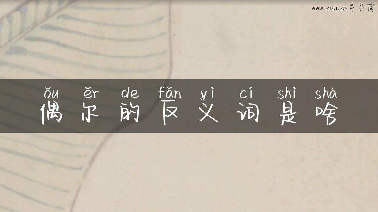 偶尔的反义词是啥