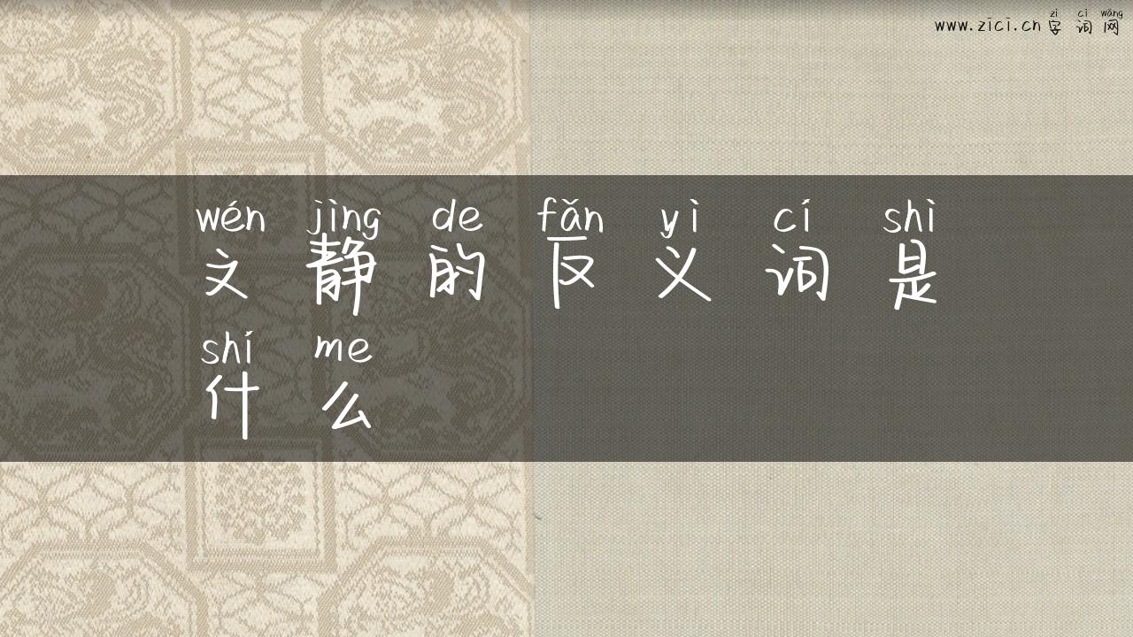文静的反义词是什么