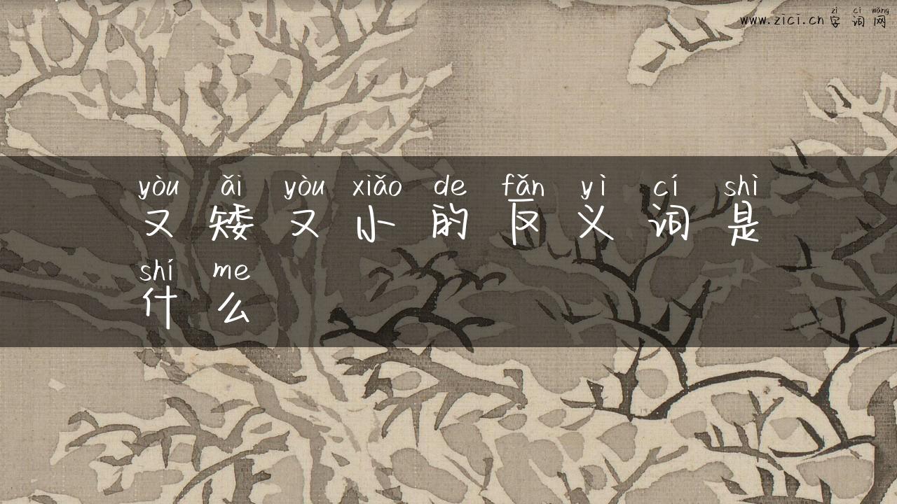 又矮又小的反义词是什么