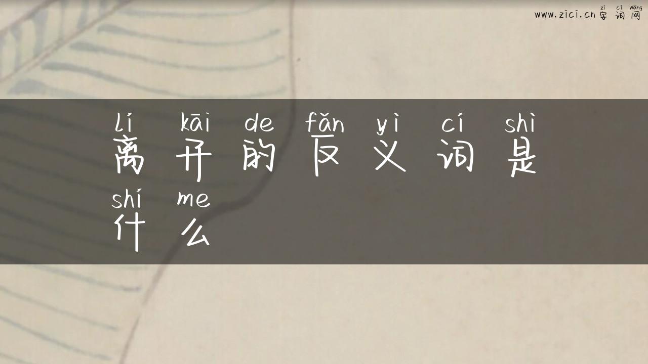 离开的反义词是什么