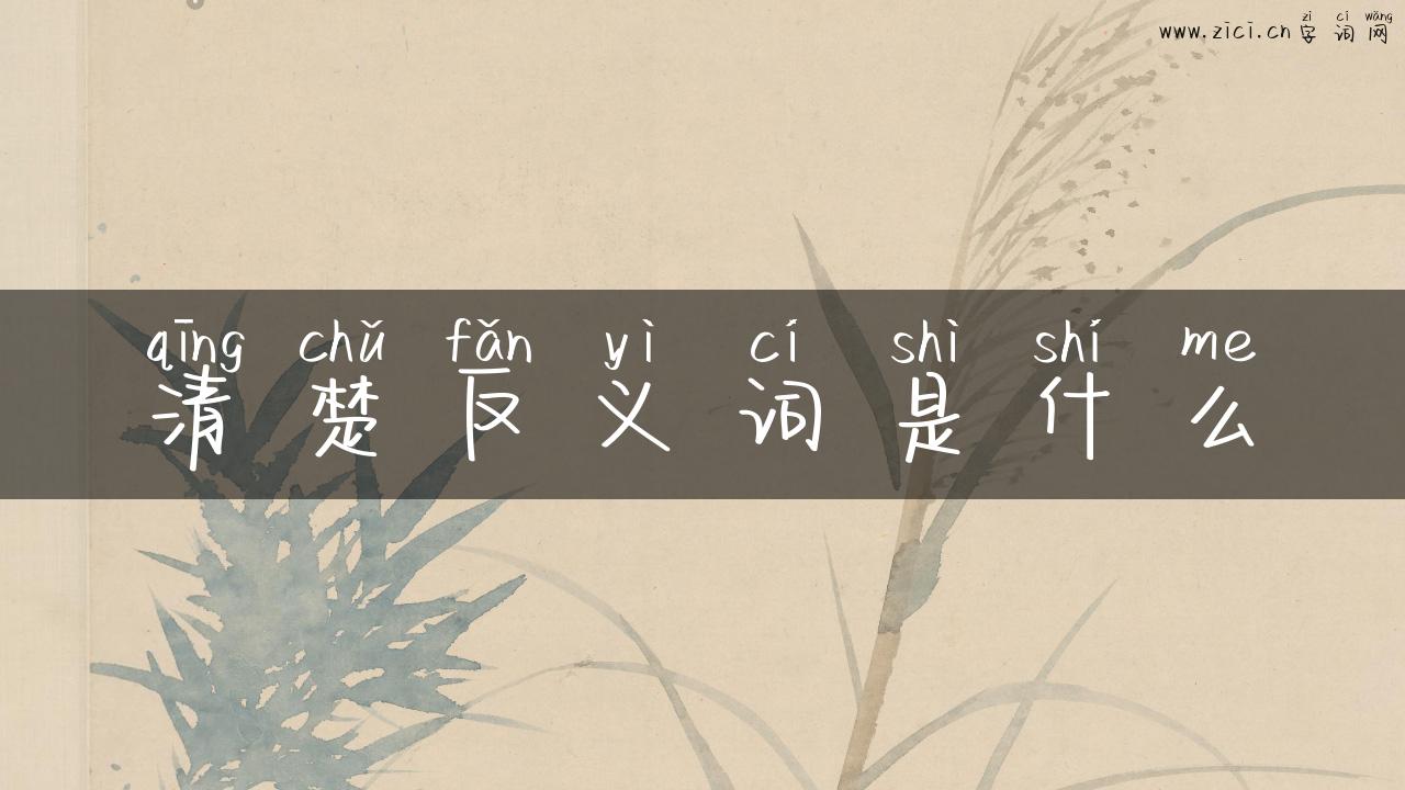 清楚反义词是什么