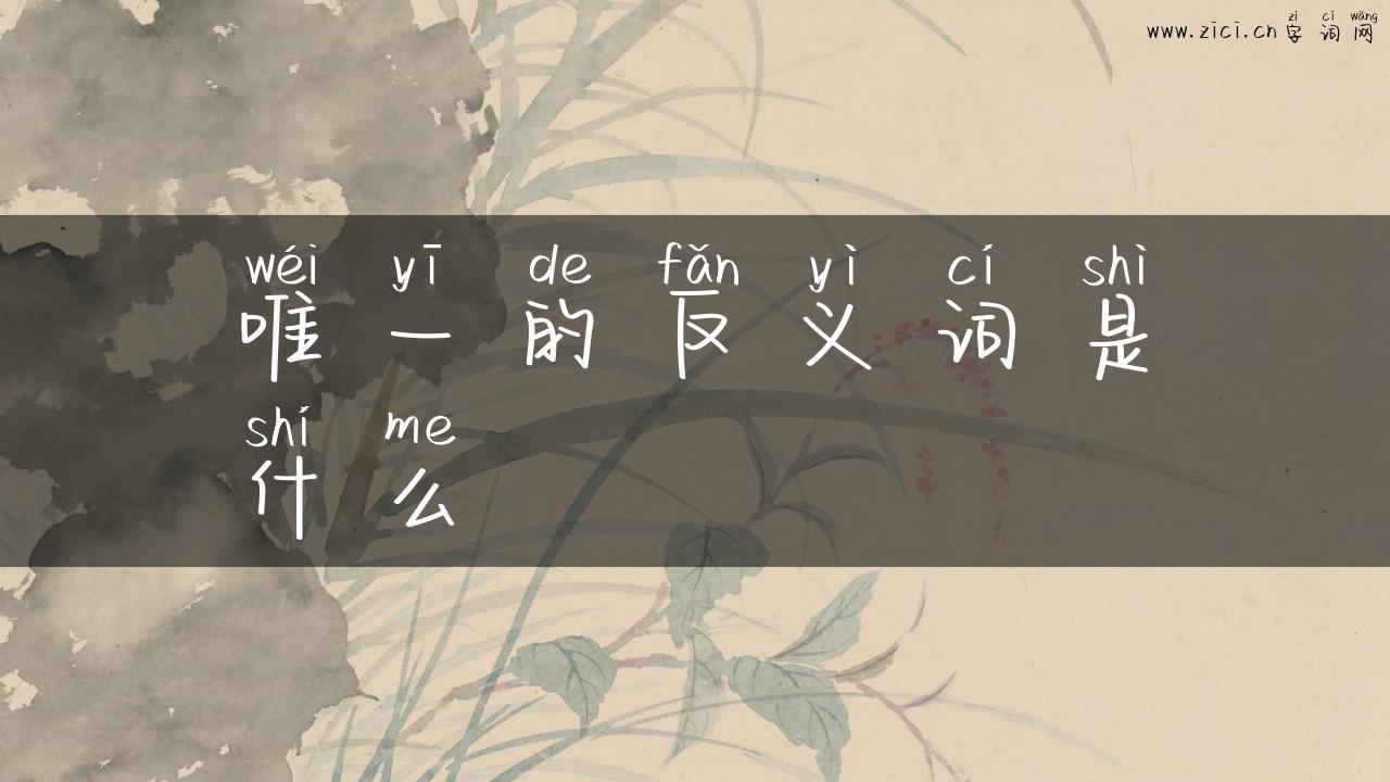 唯一的反义词是什么