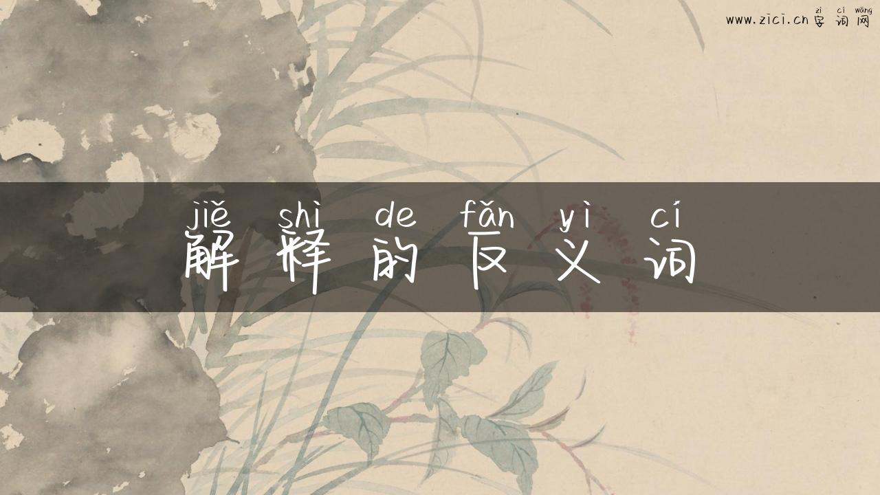 解释的反义词
