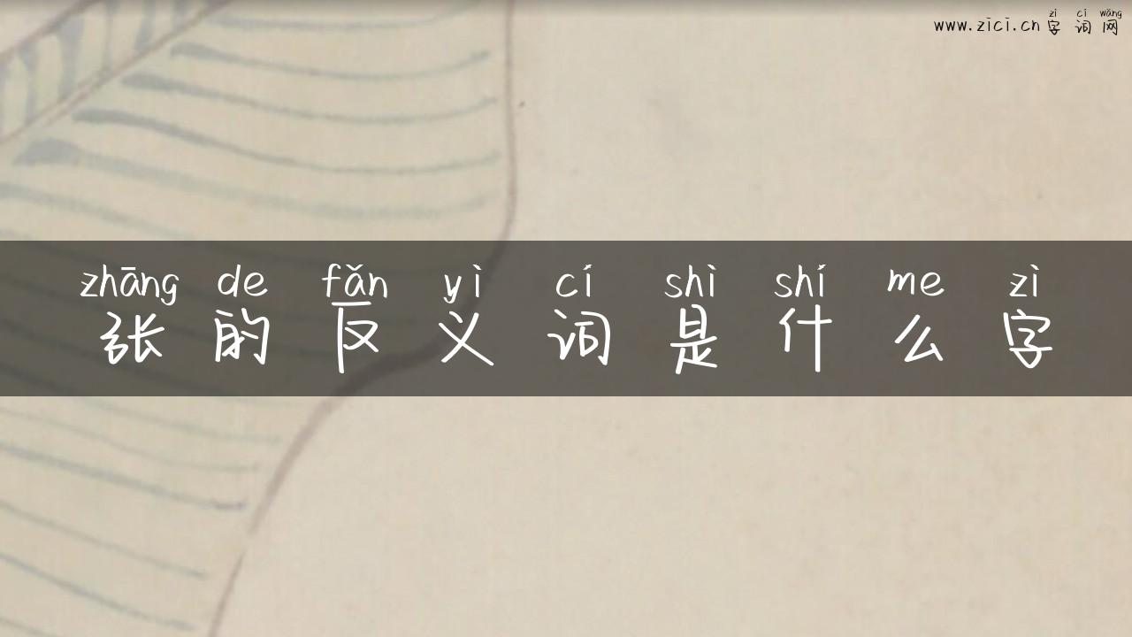 张的反义词是什么字