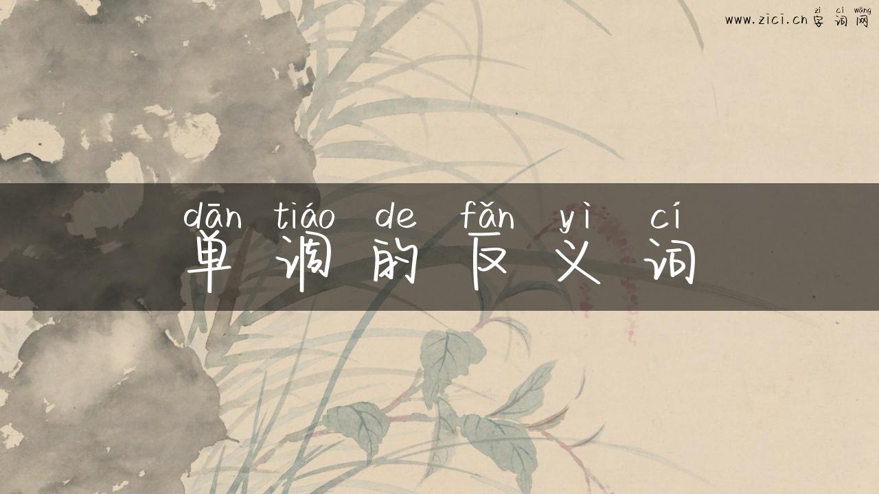 单调的反义词