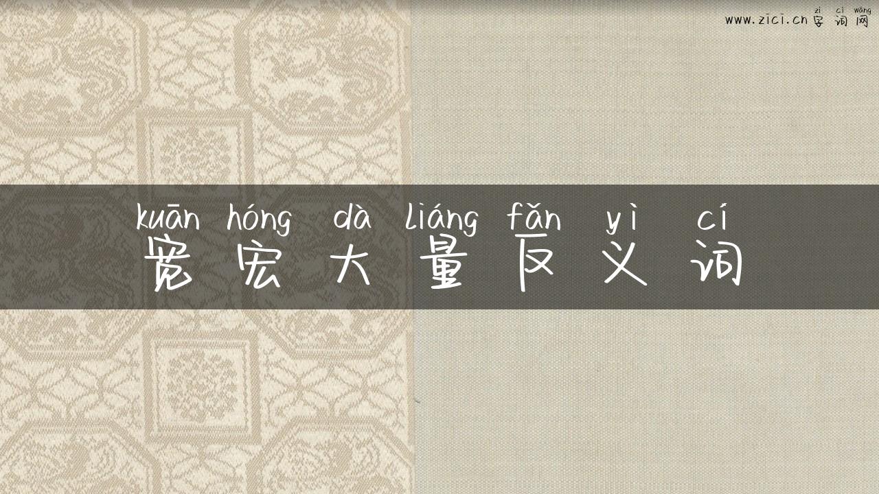 宽宏大量反义词