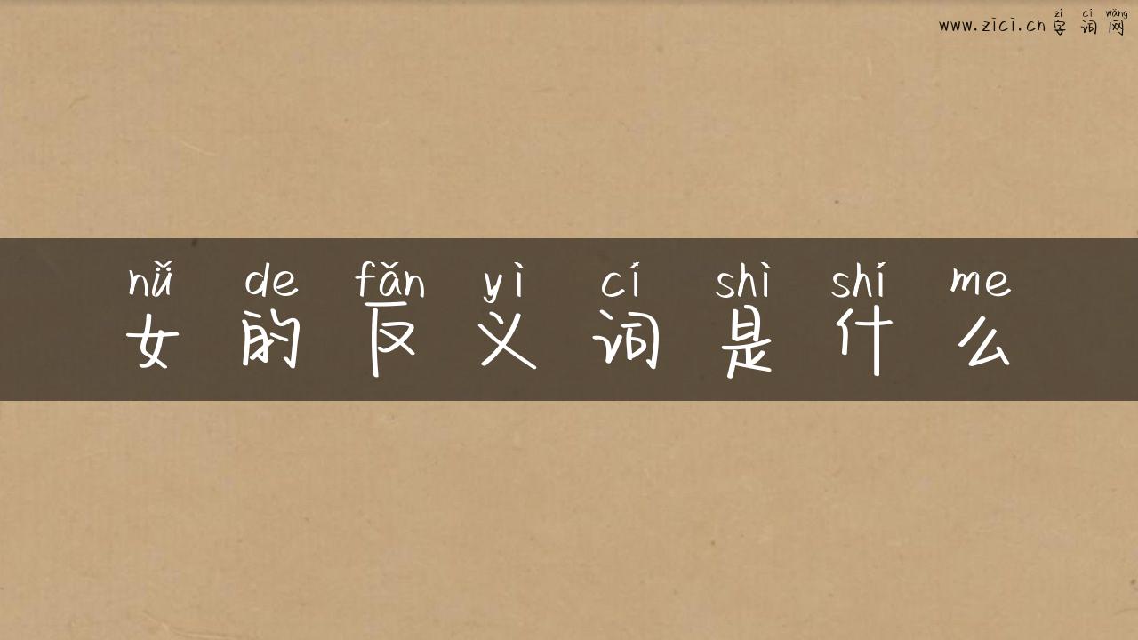 女的反义词是什么