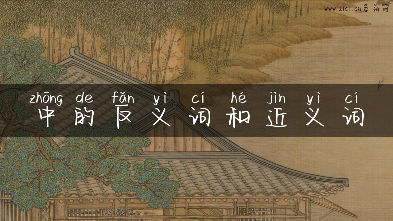 中的反义词和近义词