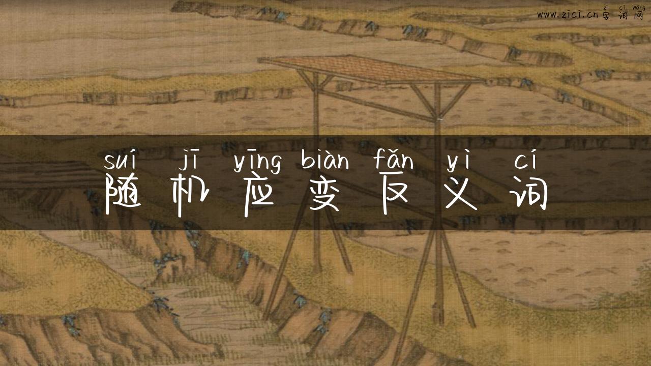随机应变反义词