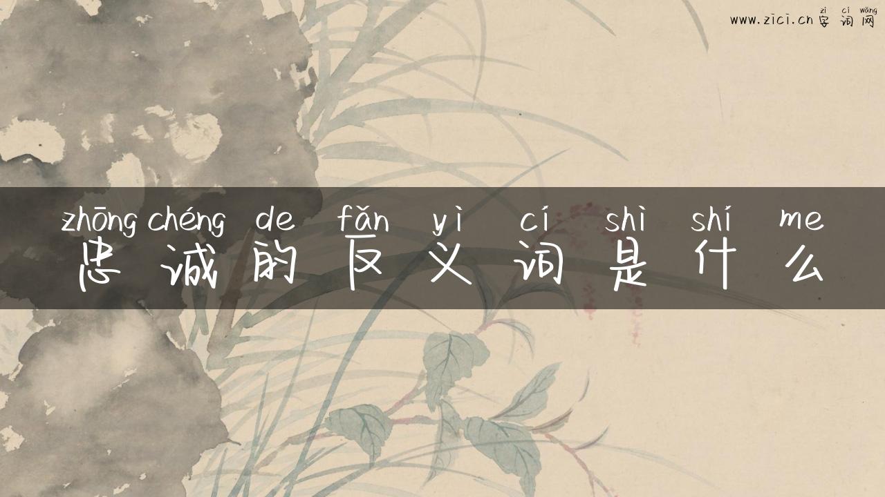 忠诚的反义词是什么
