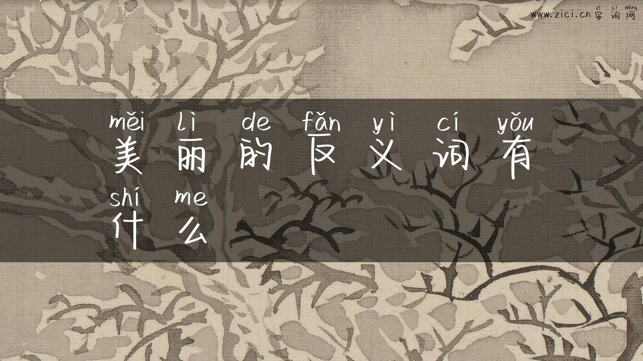 美丽的反义词有什么