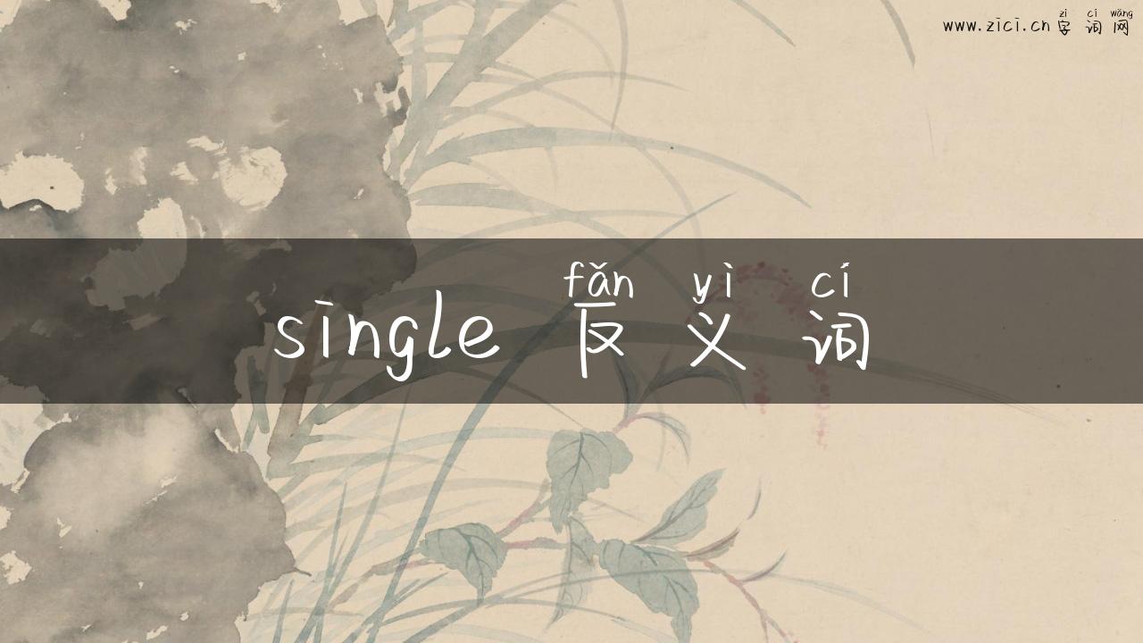single 反义词
