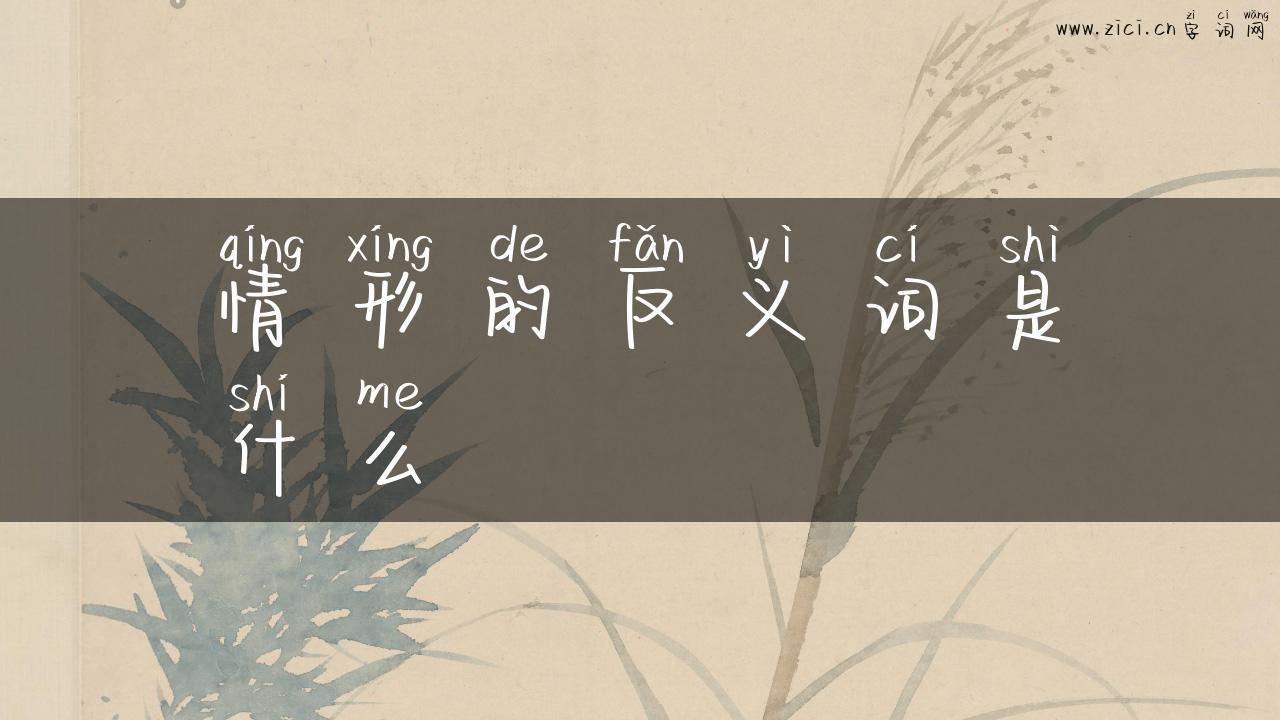情形的反义词是什么