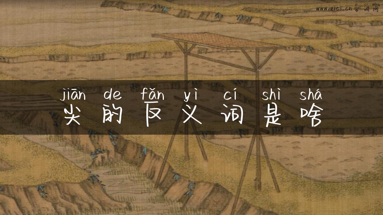尖的反义词是啥