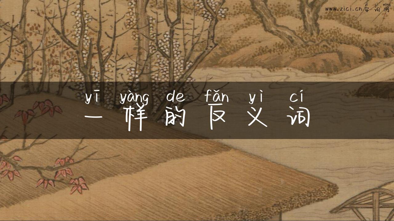 一样的反义词