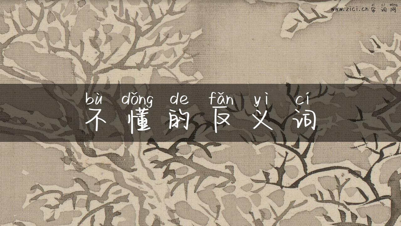 不懂的反义词