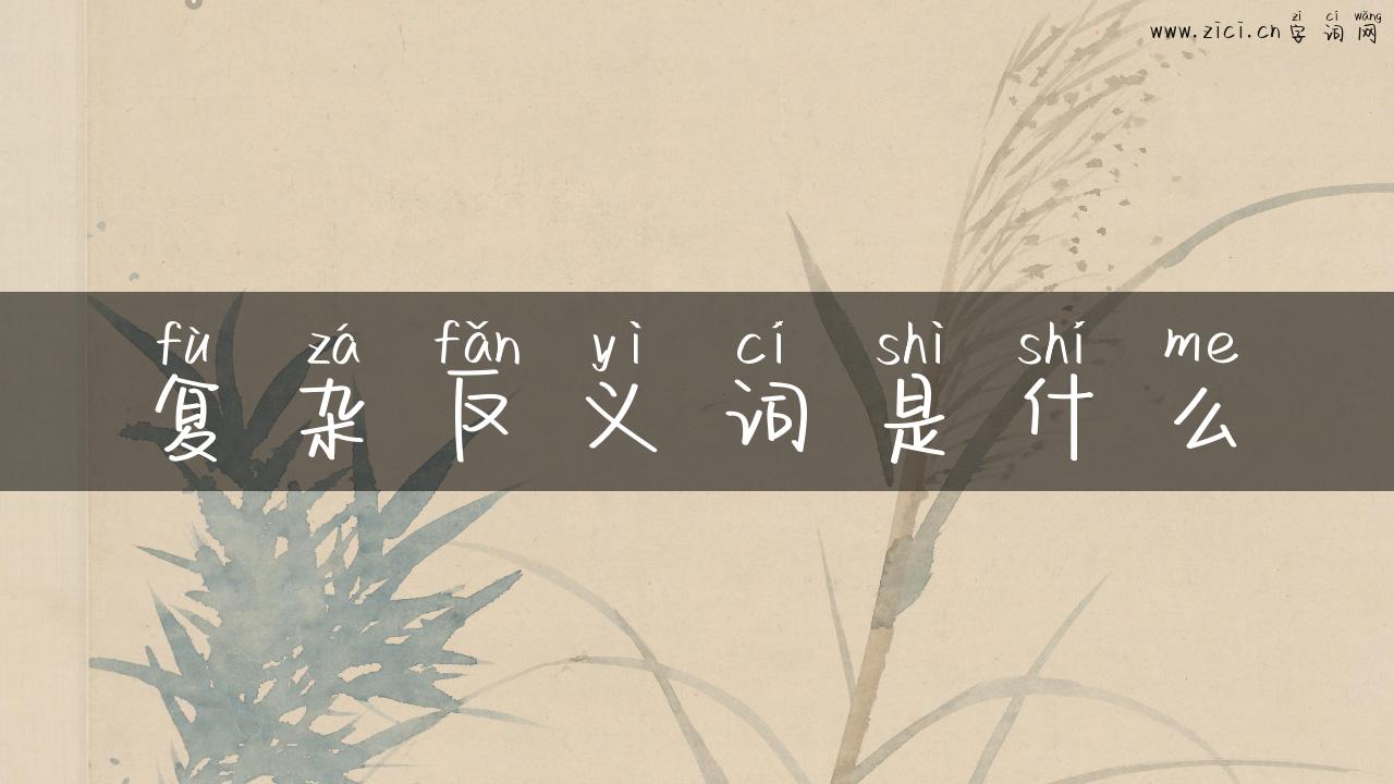 复杂反义词是什么