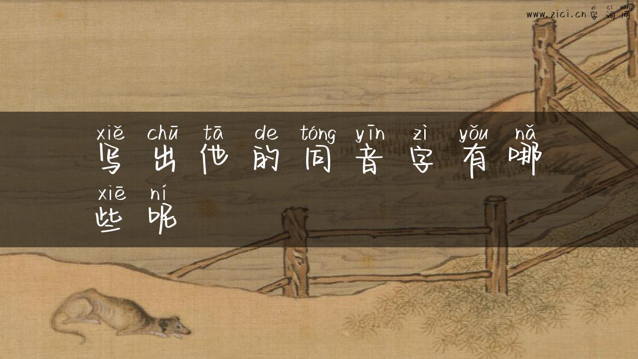 写出他的同音字有哪些呢