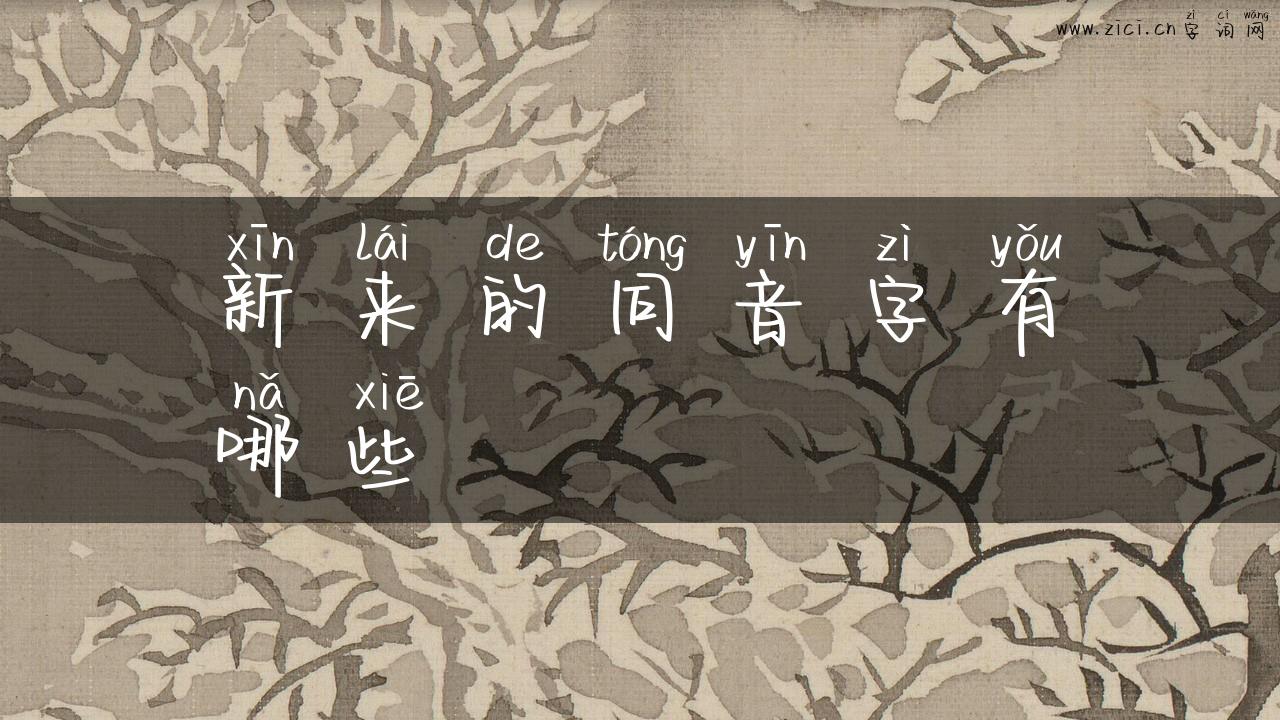 新来的同音字有哪些