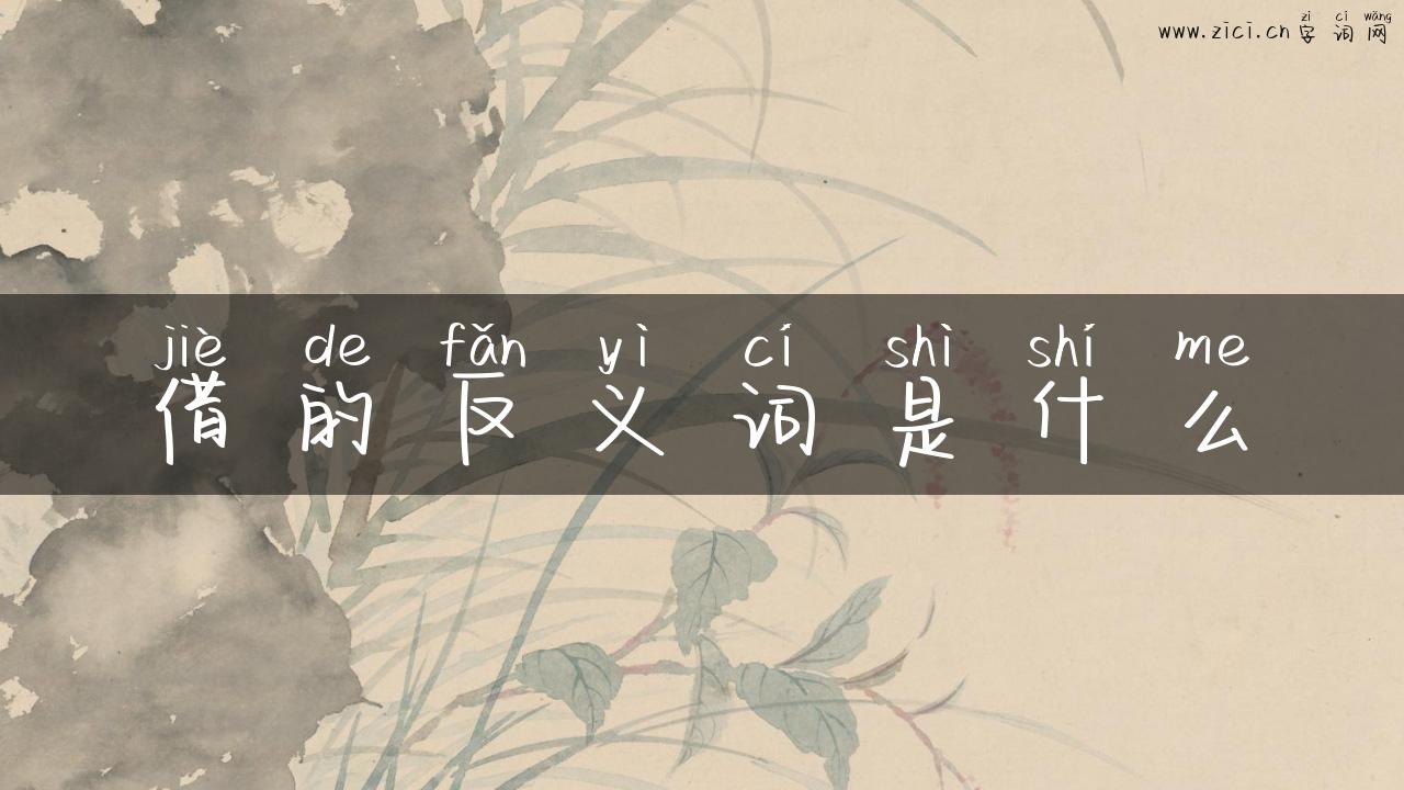 借的反义词是什么