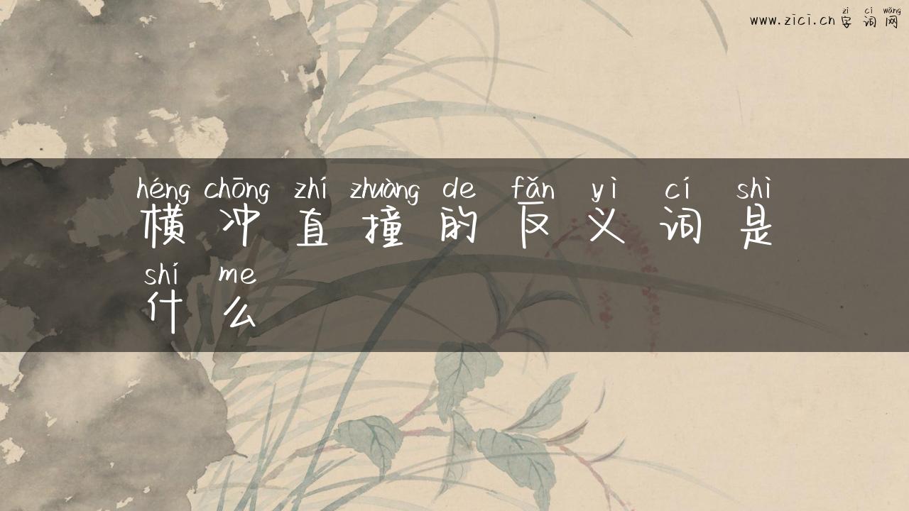 横冲直撞的反义词是什么