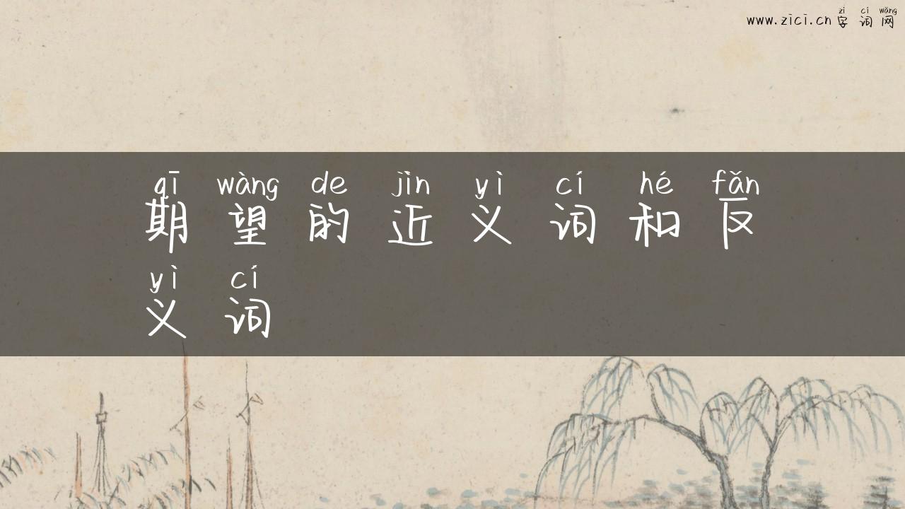 期望的近义词和反义词