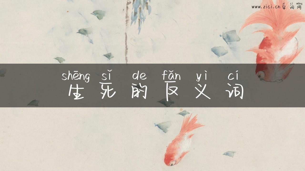 生死的反义词
