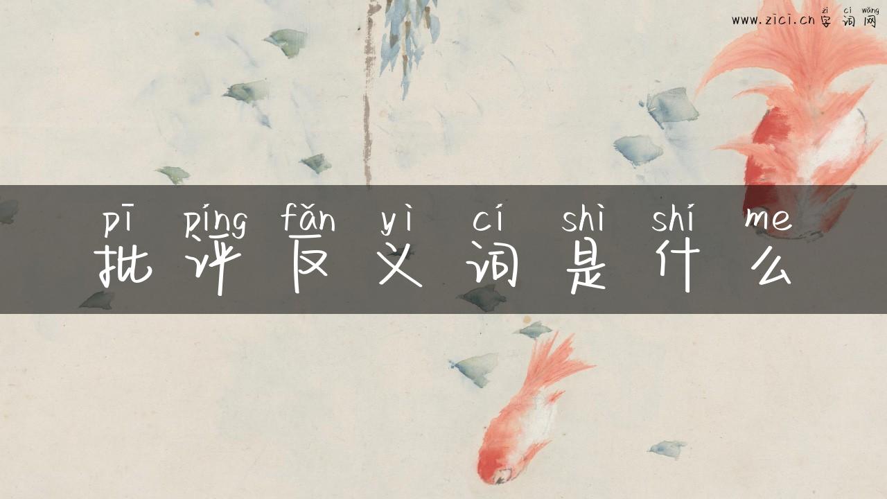 批评反义词是什么