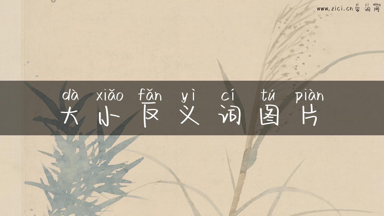 大小反义词图片