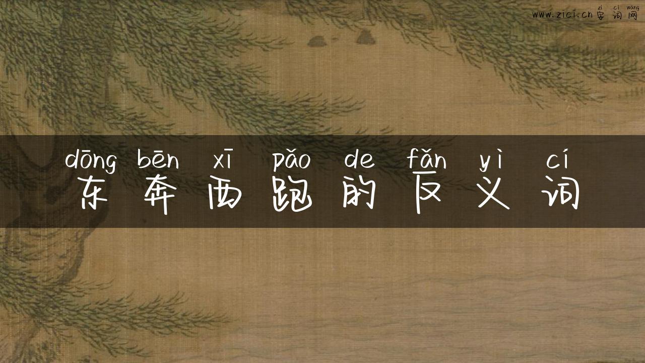 东奔西跑的反义词