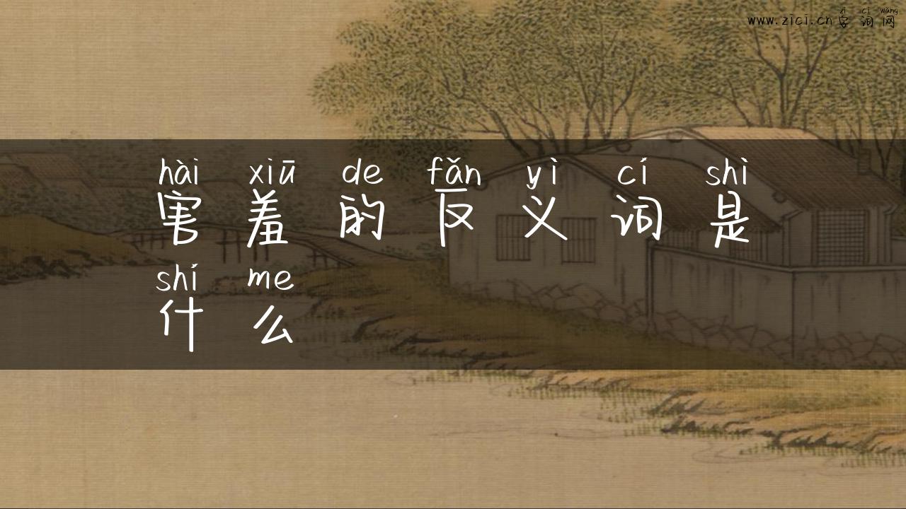 害羞的反义词是什么
