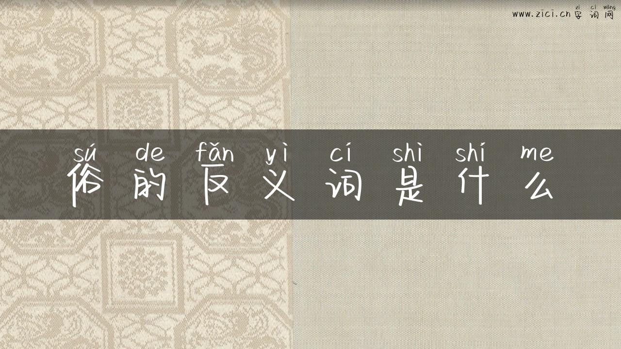 俗的反义词是什么