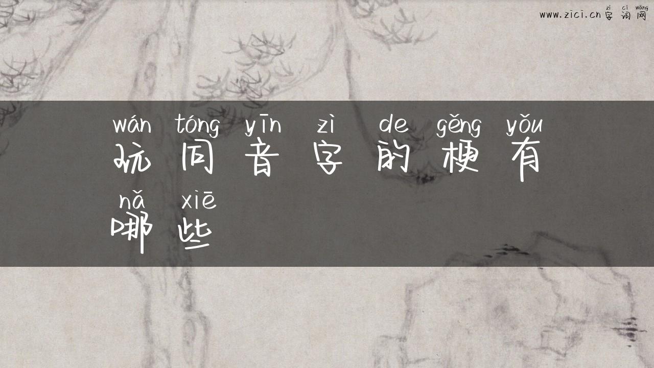 玩同音字的梗有哪些