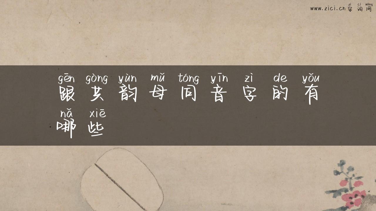 跟共韵母同音字的有哪些