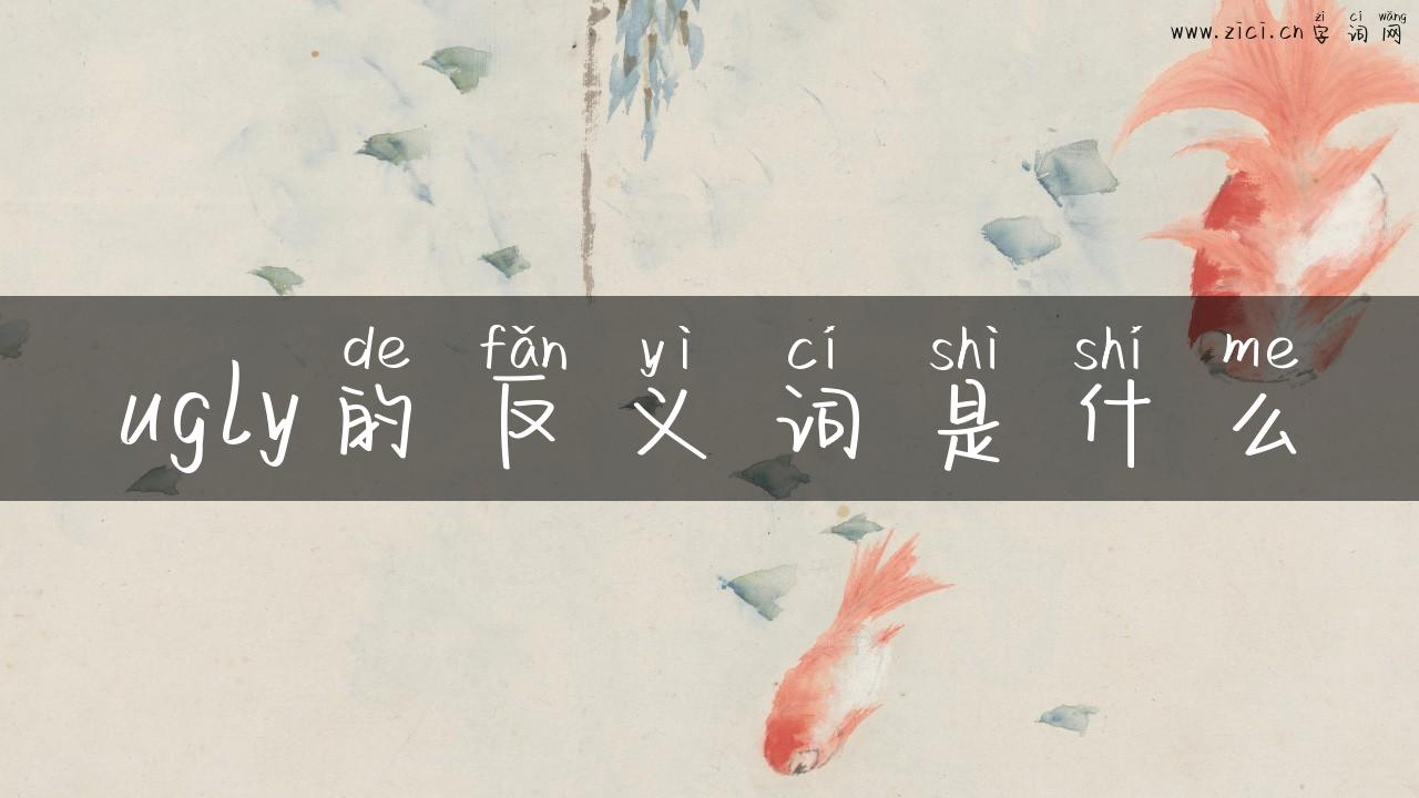 ugly的反义词是什么