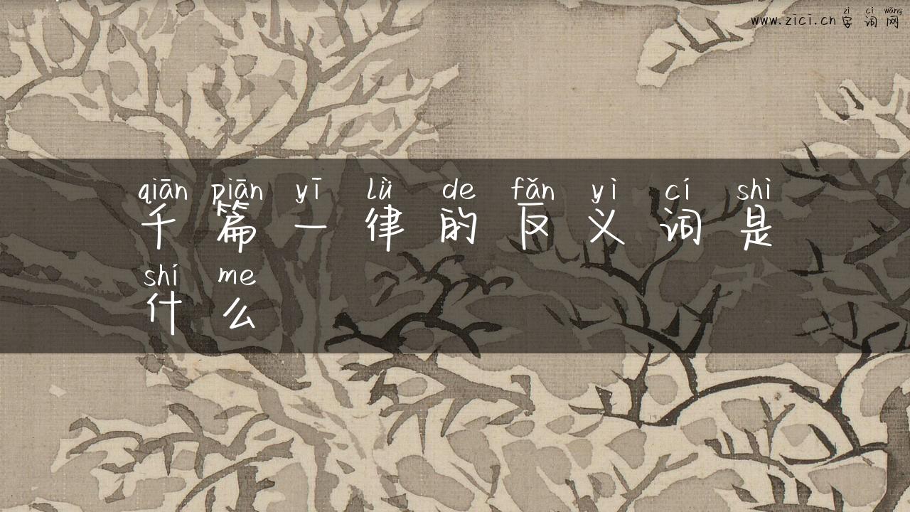 千篇一律的反义词是什么