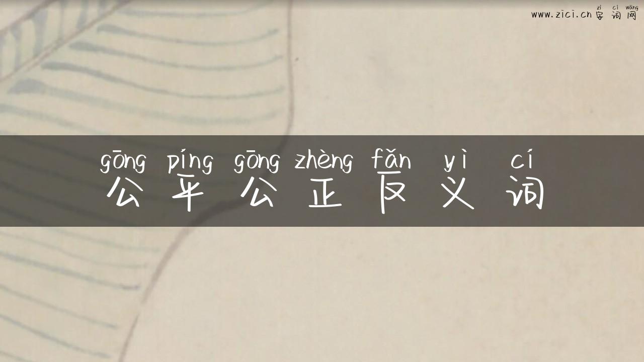公平公正反义词
