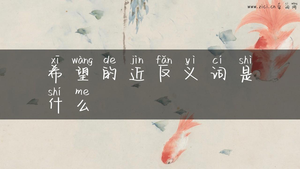 希望的近反义词是什么