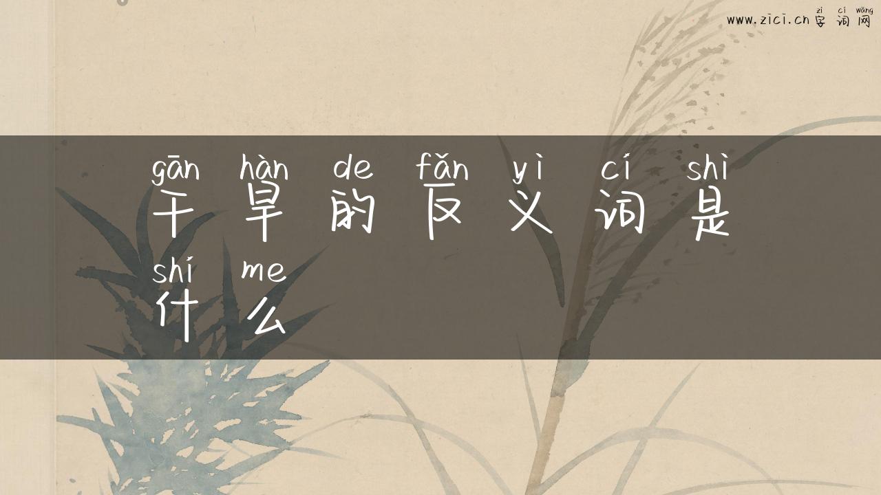 干旱的反义词是什么