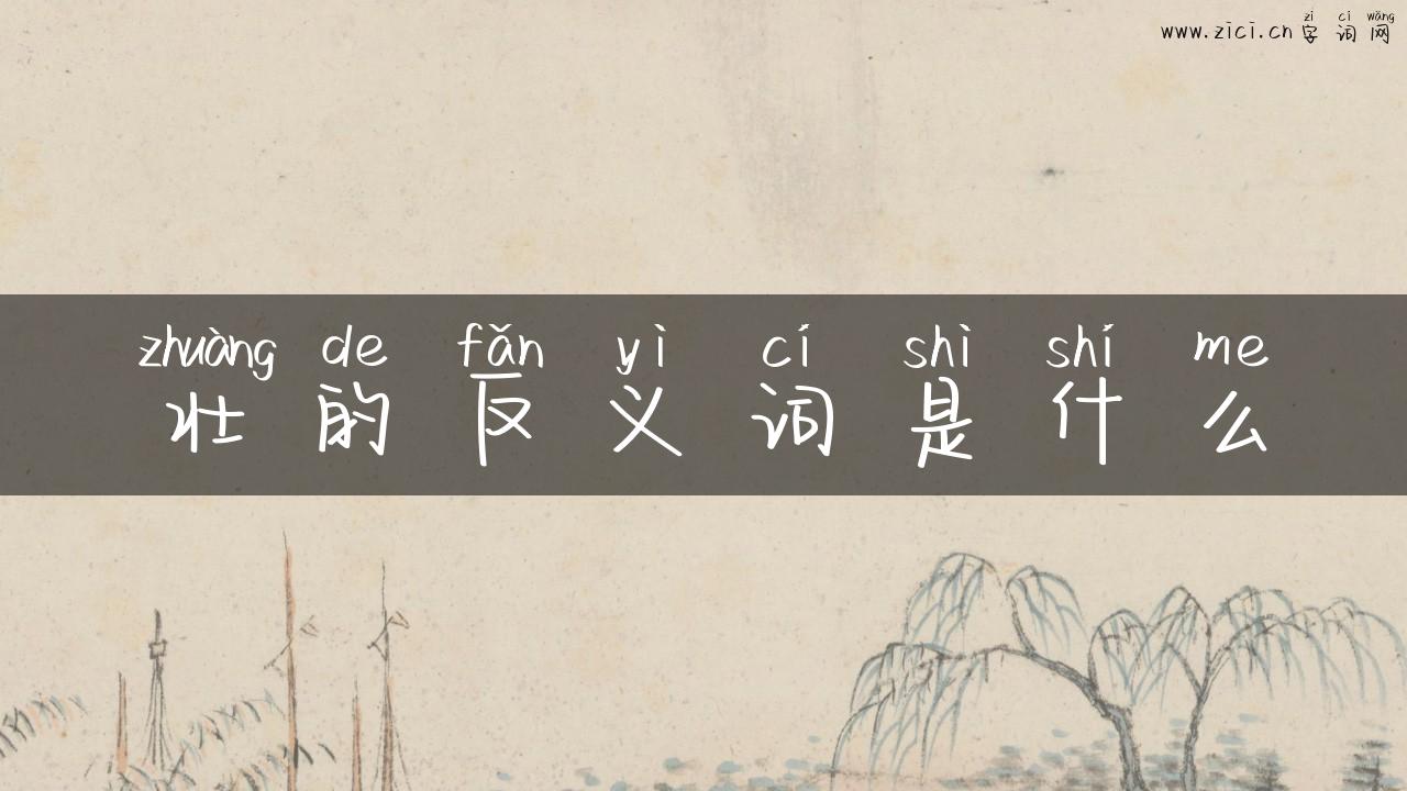 壮的反义词是什么
