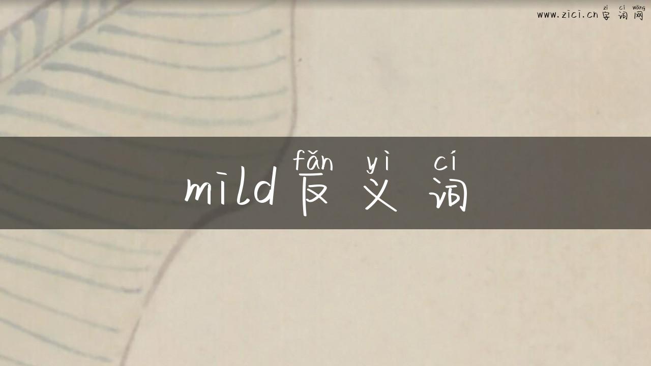 mild反义词