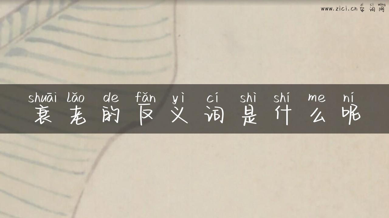 衰老的反义词是什么呢