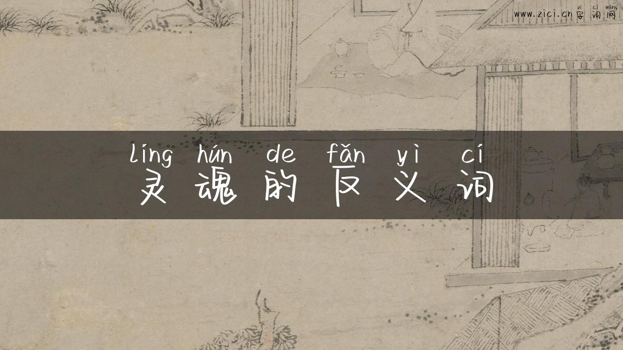 灵魂的反义词
