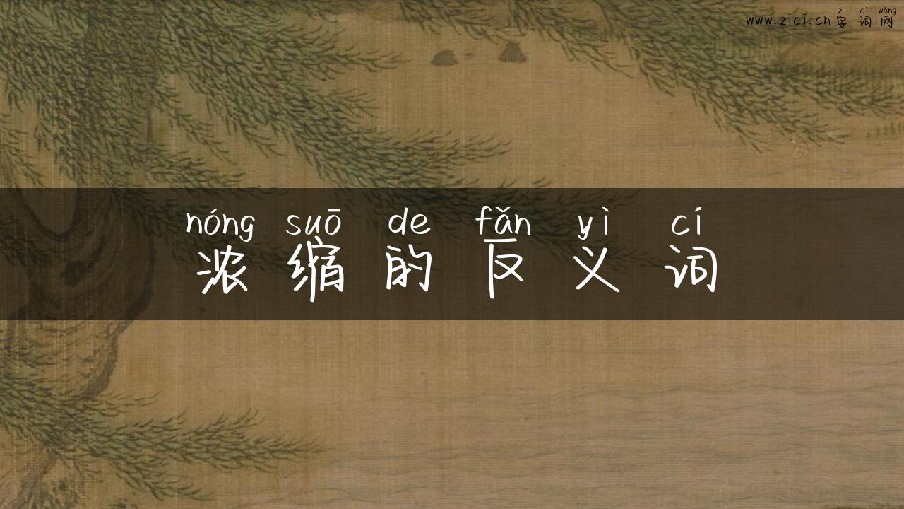 浓缩的反义词