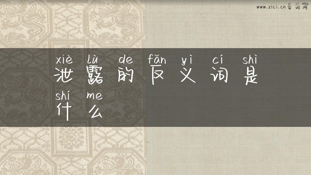 泄露的反义词是什么