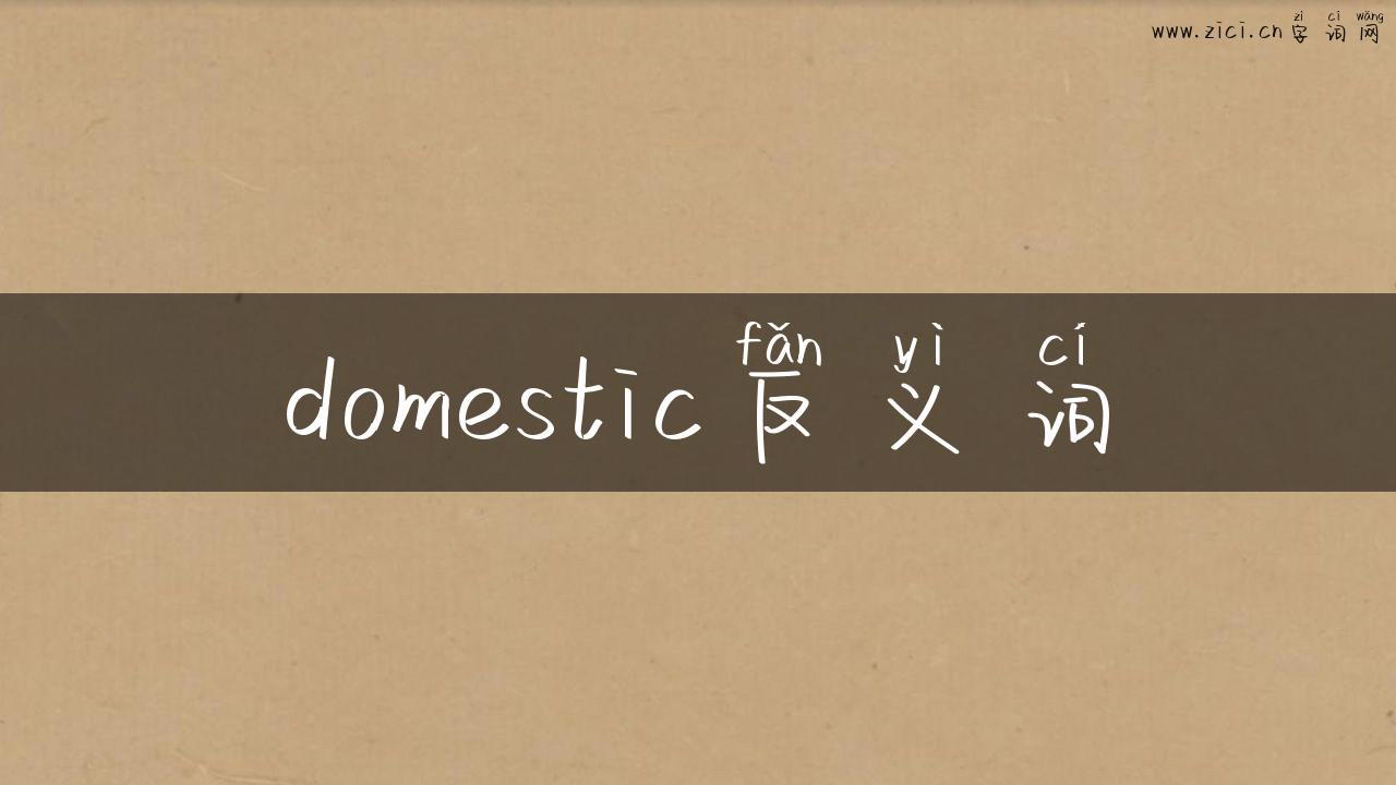 domestic反义词