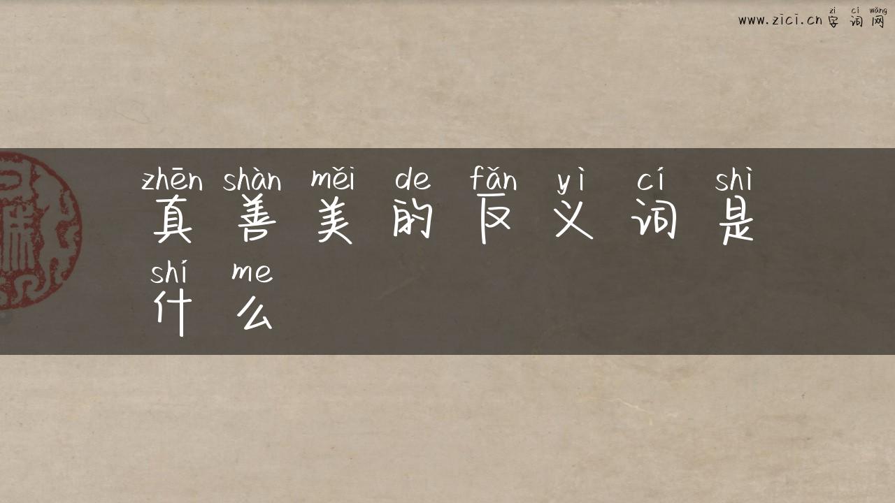真善美的反义词是什么