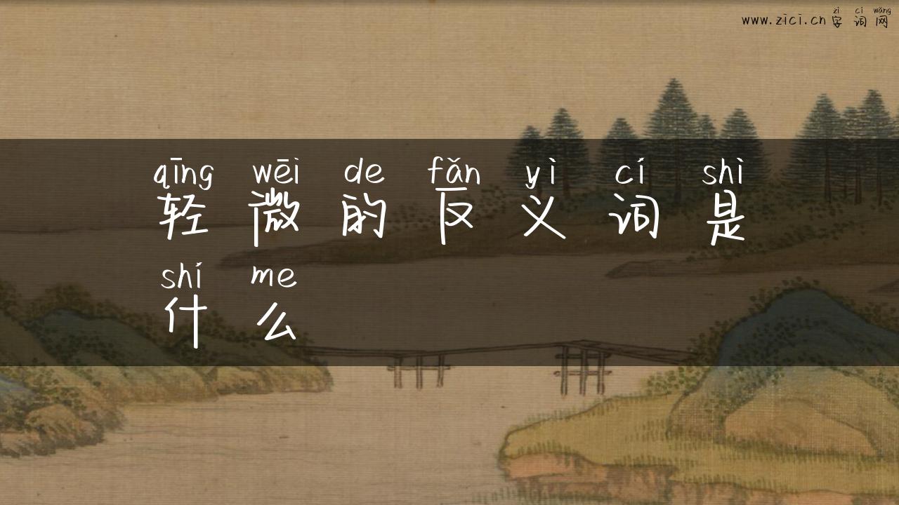 轻微的反义词是什么