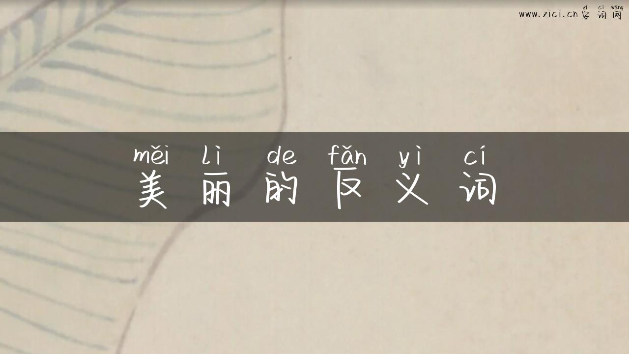 美丽的反义词